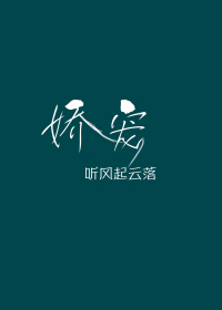 娇宠沈言小说全文免费阅读无弹窗