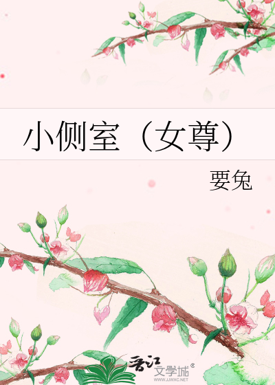 侧室小妾的小说