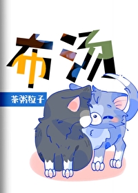 猫和老鼠不织布
