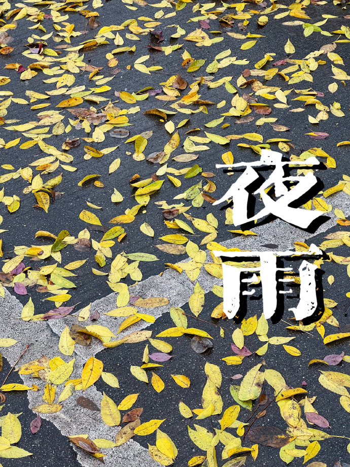 夜雨聆风